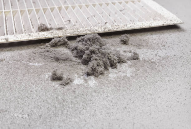 Home Air Vent Cleaning in Tipton, IA